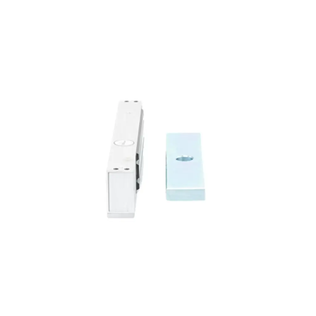 DS-K4H258S | ELECTROIMAN 300KG