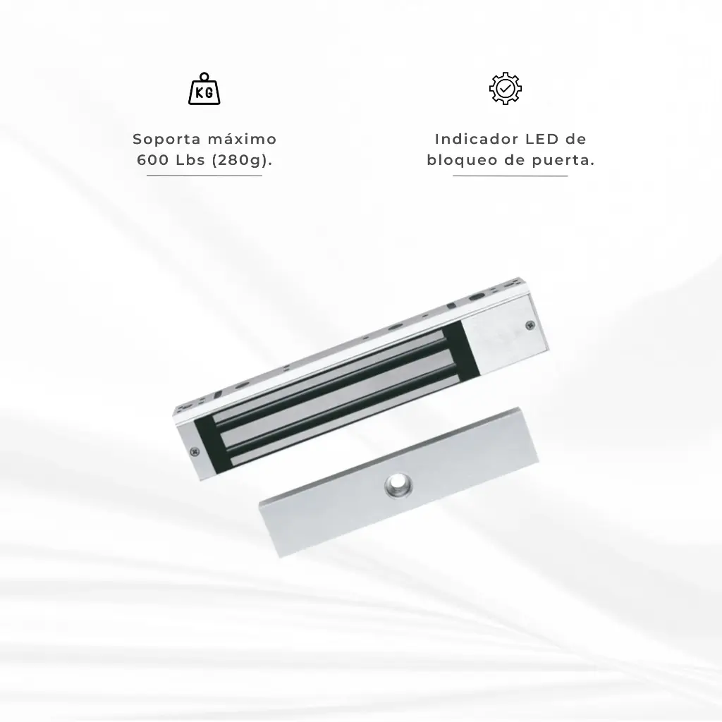 DS-K4H258S | ELECTROIMAN 300KG