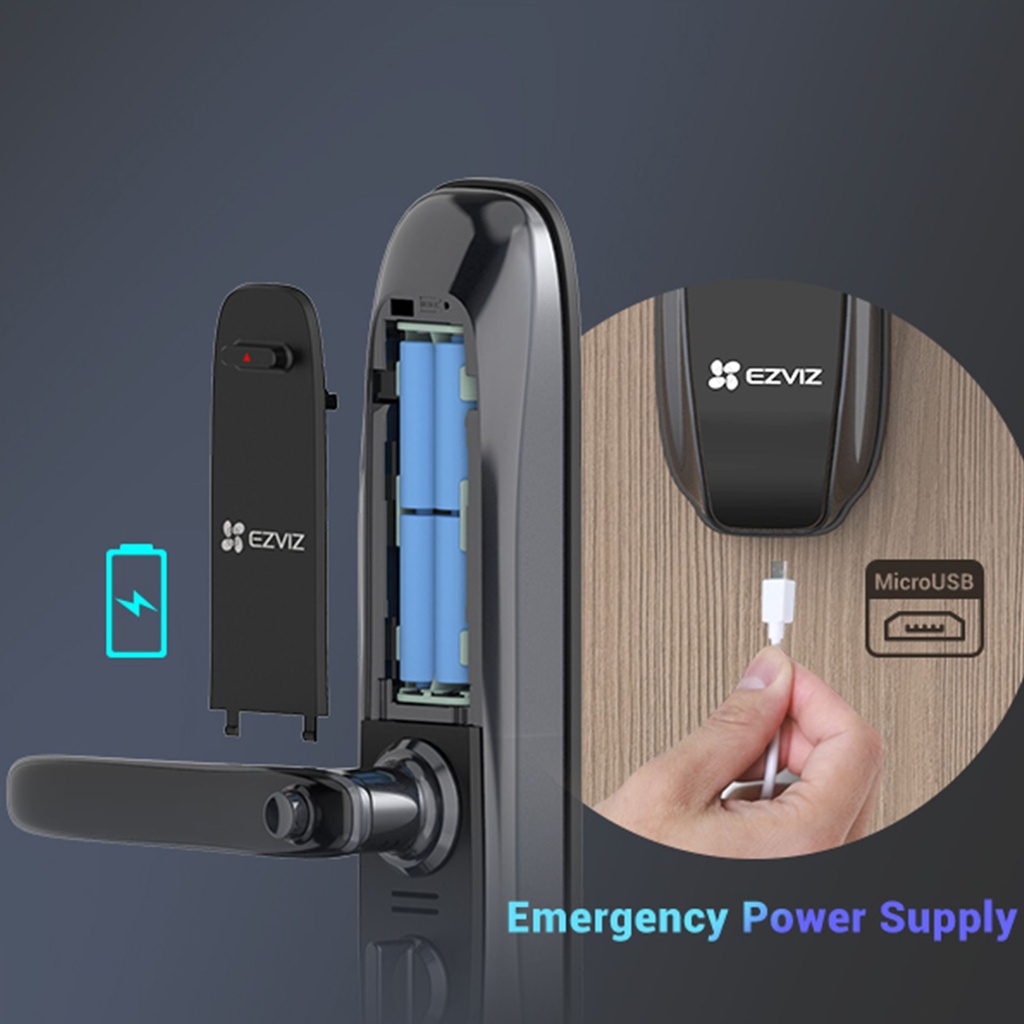LS2-11FCP | CERRADURA INTELIGENTE LS2